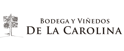 Bodega De La Carolina - Donde la Uva encontro su lugar